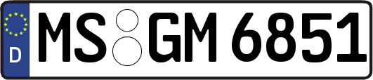 MS-GM6851