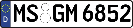 MS-GM6852
