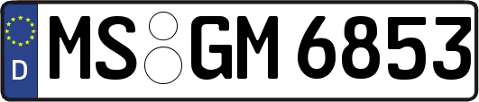 MS-GM6853