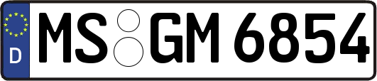 MS-GM6854