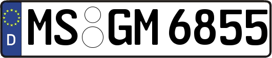 MS-GM6855