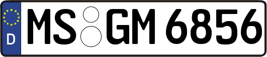 MS-GM6856