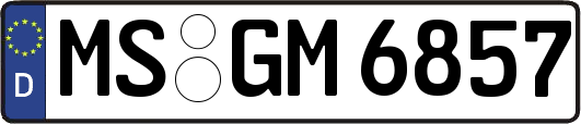 MS-GM6857