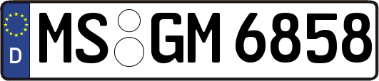 MS-GM6858