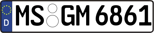 MS-GM6861
