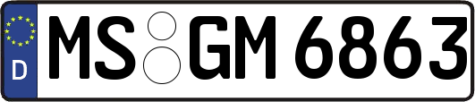 MS-GM6863