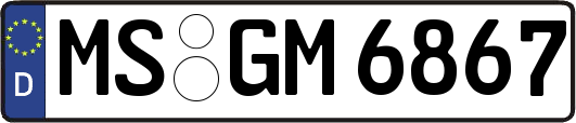 MS-GM6867