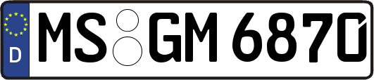 MS-GM6870