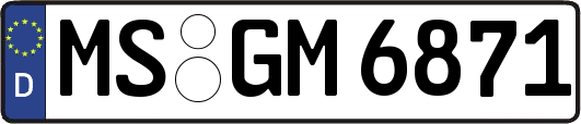 MS-GM6871