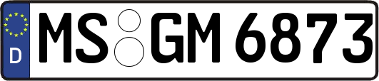 MS-GM6873