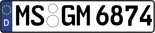 MS-GM6874