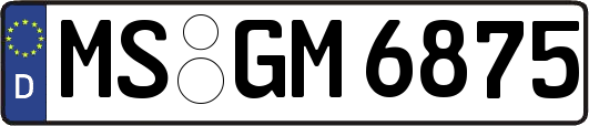 MS-GM6875