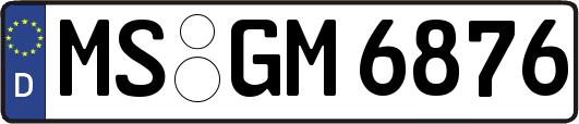 MS-GM6876