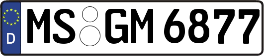 MS-GM6877