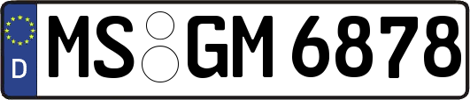 MS-GM6878