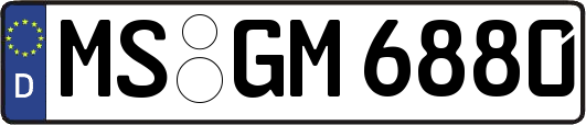 MS-GM6880