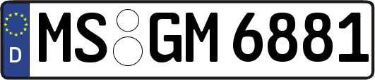 MS-GM6881