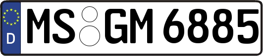 MS-GM6885