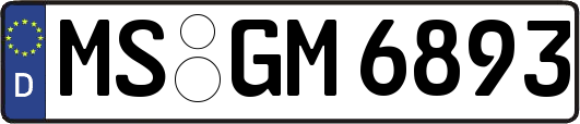 MS-GM6893