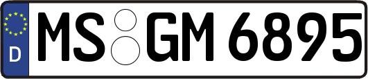MS-GM6895
