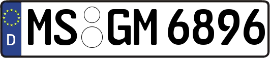 MS-GM6896