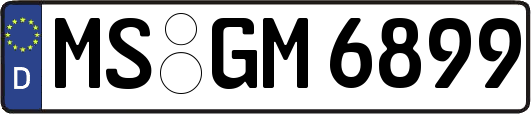 MS-GM6899