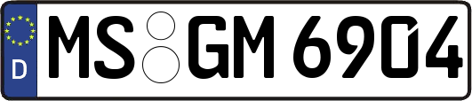 MS-GM6904