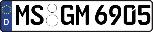 MS-GM6905