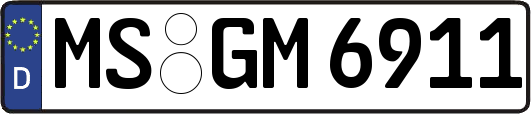 MS-GM6911