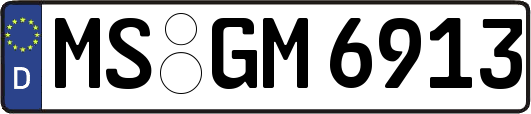 MS-GM6913