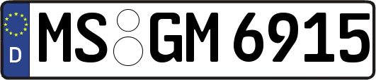 MS-GM6915