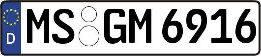 MS-GM6916
