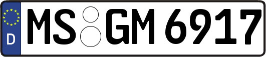 MS-GM6917