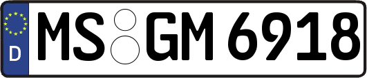 MS-GM6918