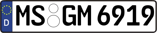 MS-GM6919