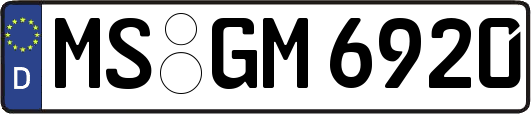 MS-GM6920
