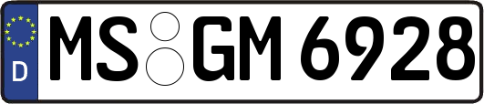 MS-GM6928