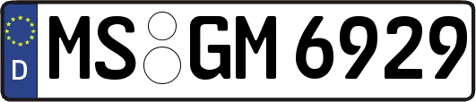 MS-GM6929