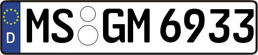 MS-GM6933