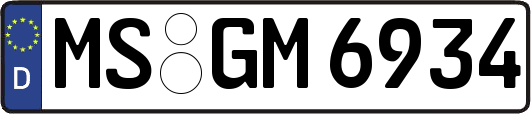 MS-GM6934