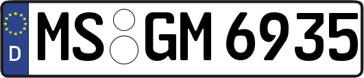 MS-GM6935