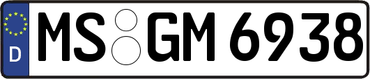 MS-GM6938