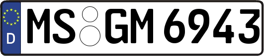 MS-GM6943