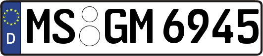 MS-GM6945
