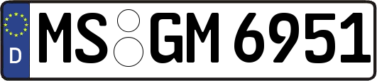 MS-GM6951