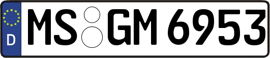 MS-GM6953
