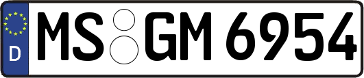 MS-GM6954