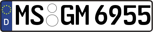 MS-GM6955