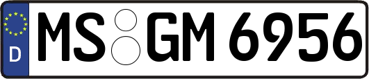 MS-GM6956