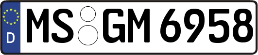 MS-GM6958